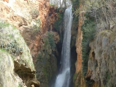 Parque Natural Monasterio de Piedra; viajes alternativos; ruta por carretera;bosque en madrid